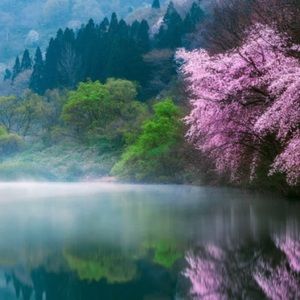 Meet your Posher, Ann